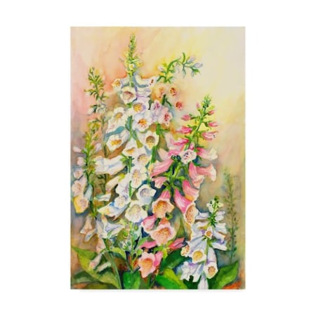 Joanne Porter 'Foxglove In A Garden' Canvas Art,30x47